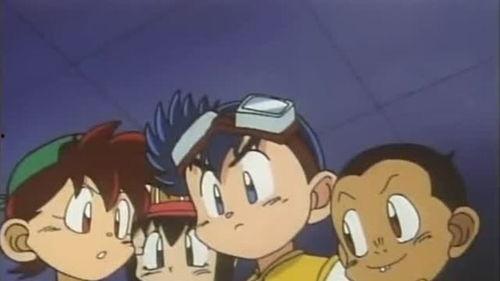 鹿丸小豪爆料视频大全,揭秘娱乐圈幕后真相